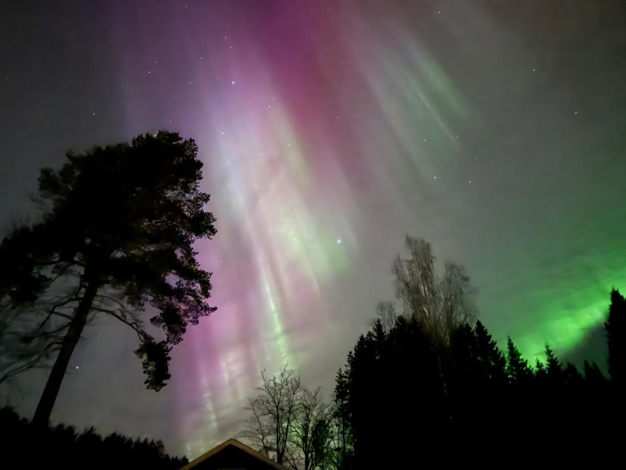 Ett Hus Med 3 Sovrum Med Supersnabba Internet Fiberanslutningen 1000Mb-100Mb I Hoeg, 7 Minuter Fran Hudiksvall Exterior foto